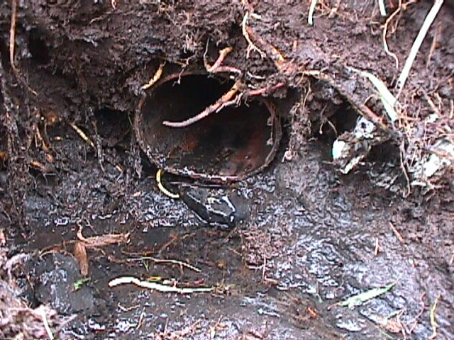 Sewage discharge from Primary School into river